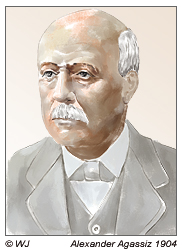 Alexander Agassiz 1904 auf der Osterinsel