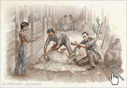 Bild 191 Studie: Percival Edmunds kommt 1908 als Verwalter auf die Osterinsel